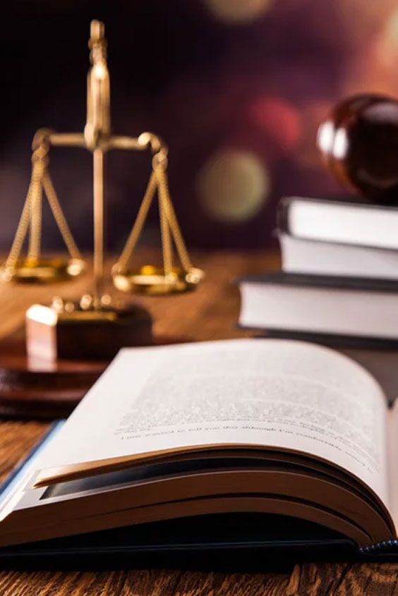 Avukat Arabulucu Billur Güler Aslım