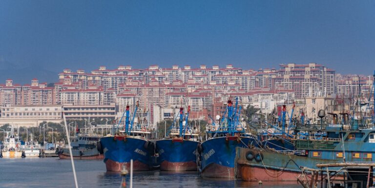 a group of boats that are sitting in the water