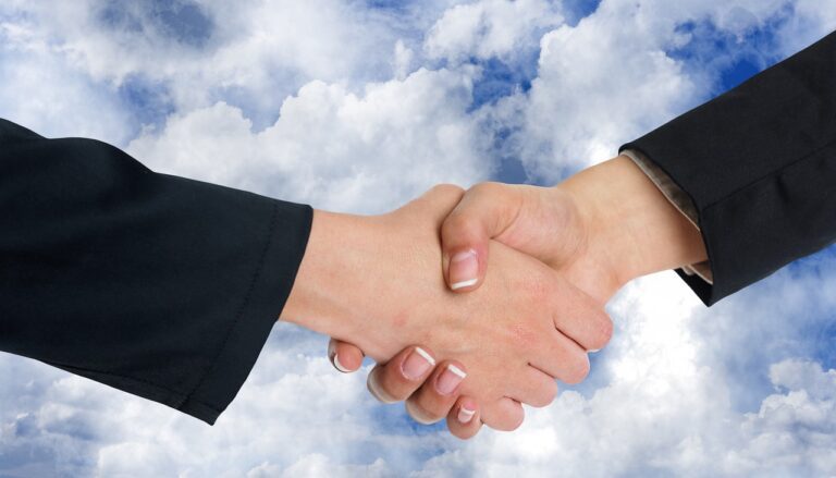 handshake, shaking hands, clouds, collaboration, negotiation, business, teamwork, contract, hands, together, team, man, nature, woman