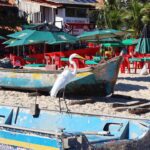 A heron perches on a boat near a beach.