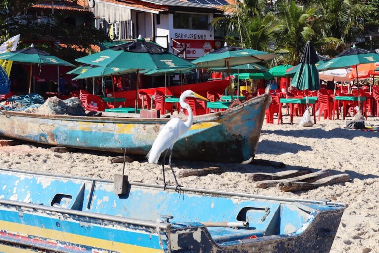A heron perches on a boat near a beach.